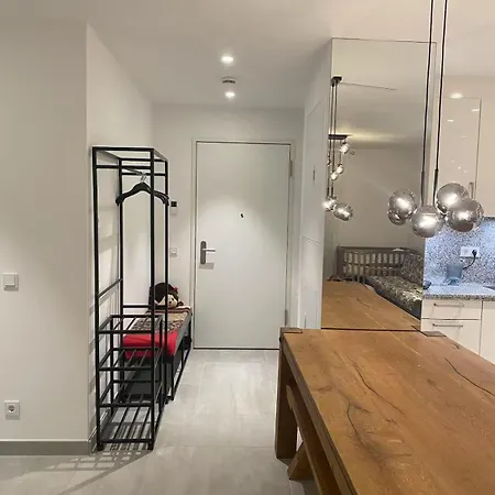 Modern Apartment, Free Parking Apartment Tegernsee